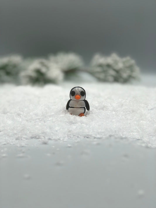 Miniature Penguin