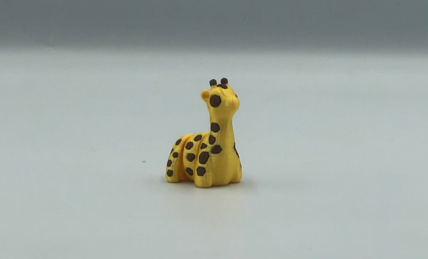 Miniature Giraffe